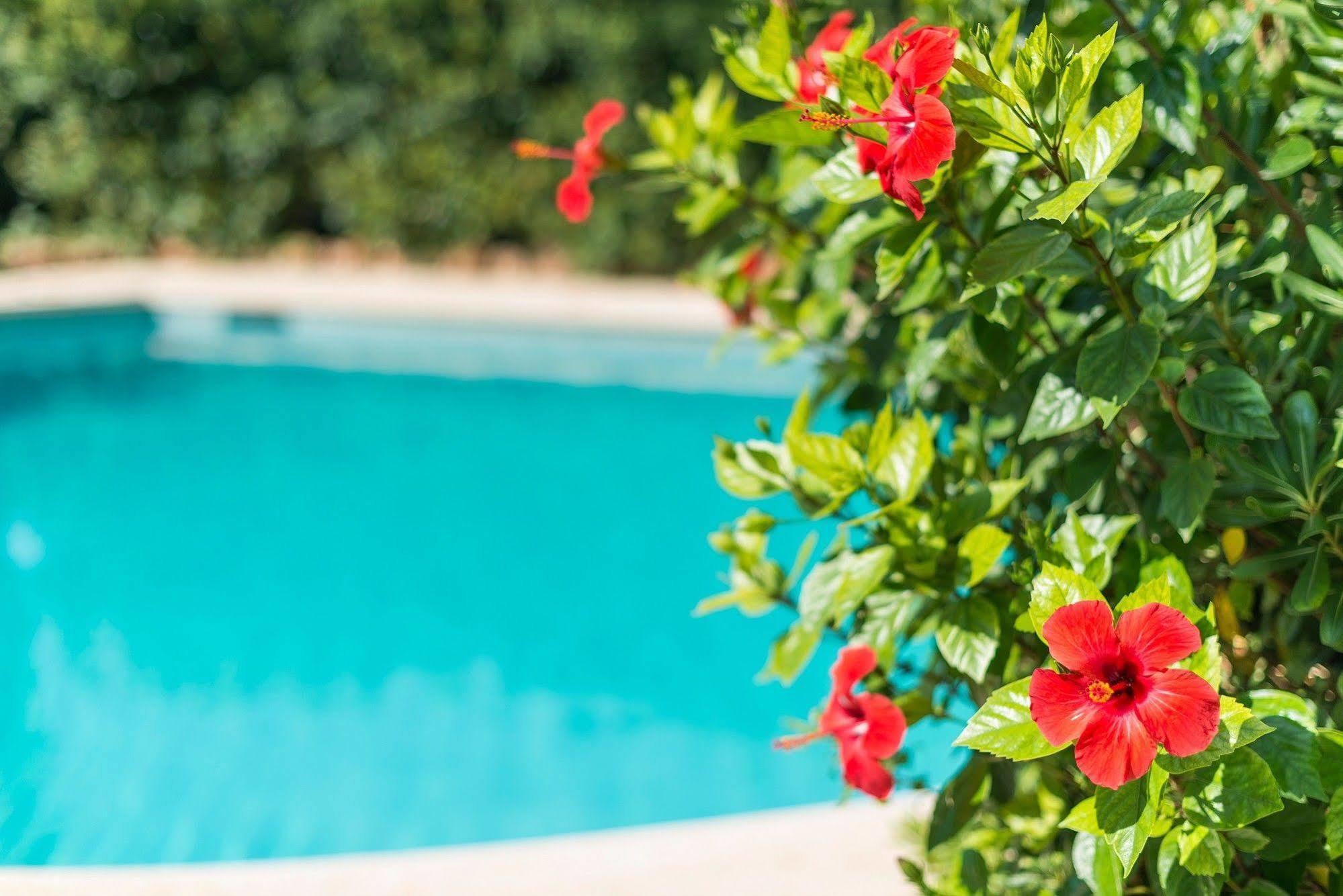 Hostal Casa Bauza Cala Ratjada  Luaran gambar